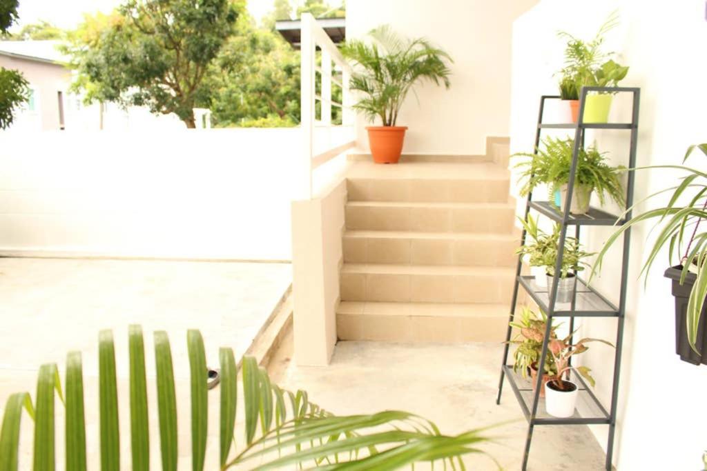 New Seaview Cozy Modern Beach House 丹绒武雅 外观 照片